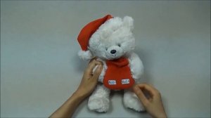 NY7 High Quality MIDI & SFX Bear