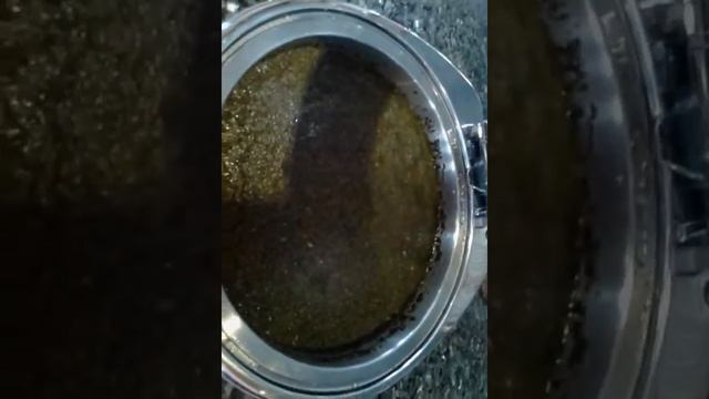 Canary Beach Hotel ..restaurant all kinds of foo смотреть онлайн