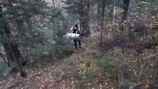 не лёгкий труд кедровой шишки смотреть онлайн