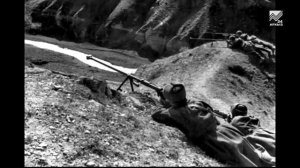 25 июля 1942 года началась битва за Кавказ