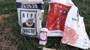 Питание малины и ежевики через капельное орошение