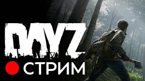 Dayz