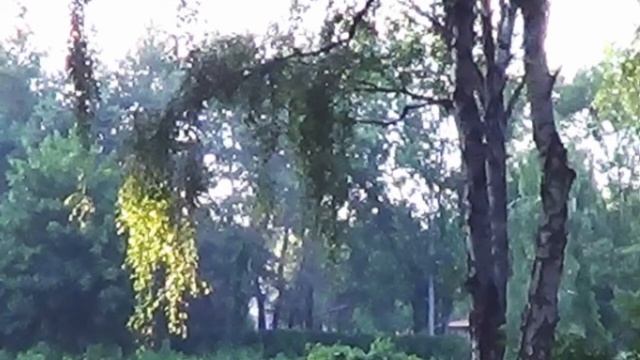 Как научиться рисовать,Вебинар №3 'Цвет и колорит в живописи'