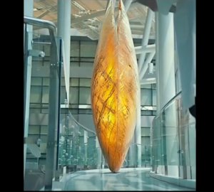 Aliens throw something from the sky. And that thing penetrates inside humans.