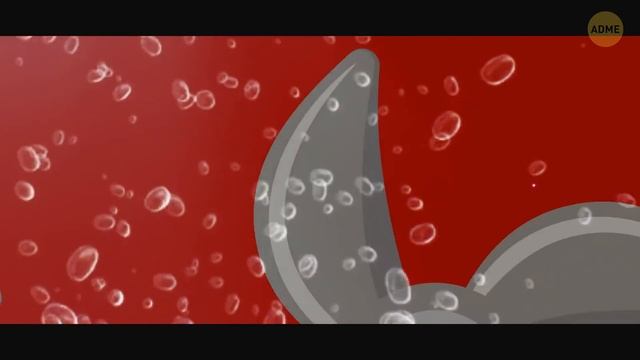 10 фатальных ошибок, которые потопили «Титаник»