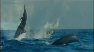 Новая супер песня Димаша Кудайбергена