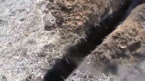 113.3 траншеекопатель, экскаватор цепной