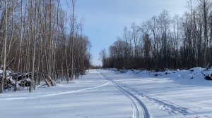За дровами на алюминиевом мотобуксировщике
