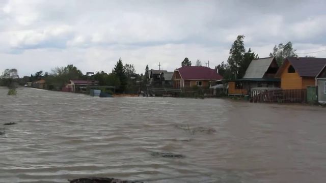На дачах Орбита. Окончание наводнения смотреть онлайн