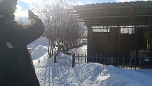 Вязка алабай