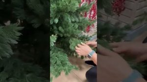 Как расправить литую елку Таежная Max Christmas