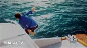 ❤️ Я СЧАСТЬЕ ИЩУ ? ЭТУ ПЕСНЮ МОЖНО 100 РАЗ ПОСЛУШАТЬ ❤️