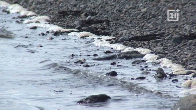 Заповедник: Люди природы смотреть онлайн