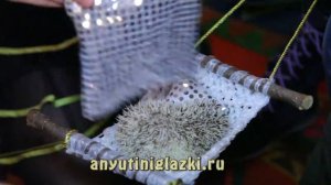 Дрессированные ёжики