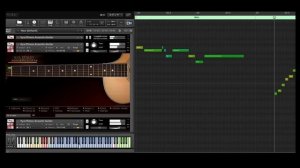 ilya efimov Acoustic guitar