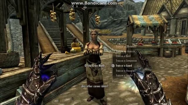 Companion Share & Recruit - Skyrim смотреть онлайн