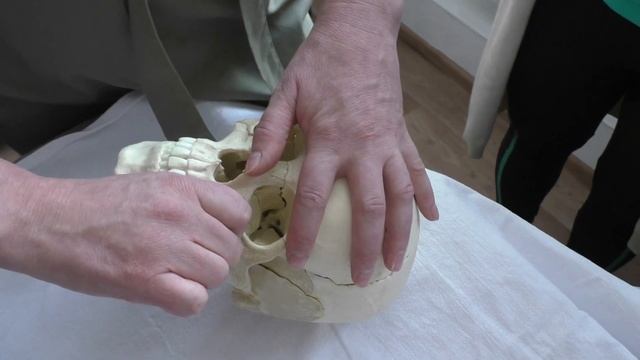 Массаж лица. Фрагмент семинара. Моделирующий массаж Скульптурный массаж. Массаж лица обучение смотреть онлайн