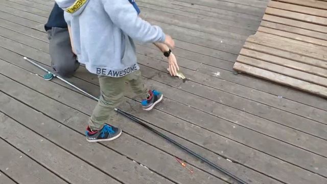 Рыбалка на Торфянке смотреть онлайн