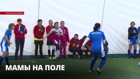 В Тосненском районе прошёл турнир по мини-футболу среди любительских женских команд
