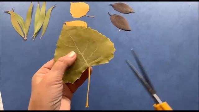 Аплікація, старша група смотреть онлайн