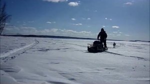 Покатушки на мотособаке