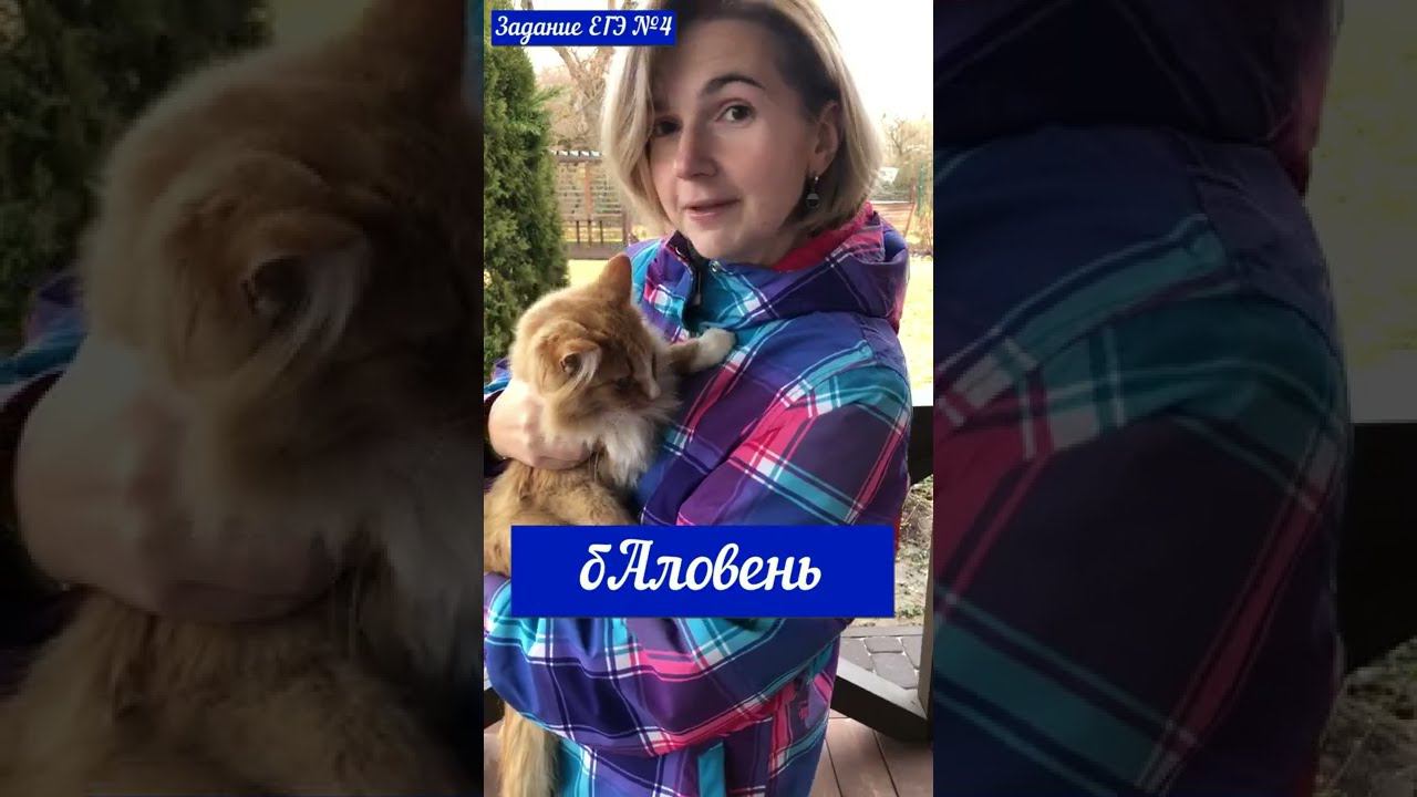 бАловень! #shorts смотреть онлайн