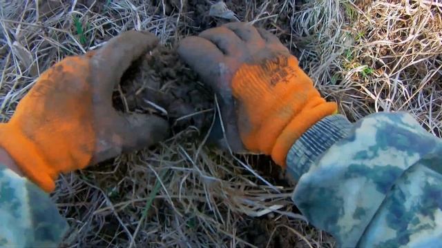 КОП. Старая деревня в Подмосковье. 2020 смотреть онлайн