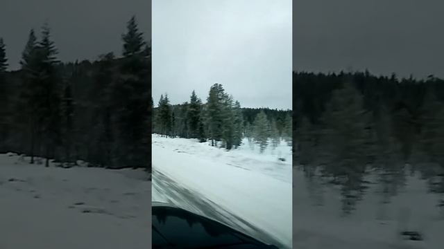 Сопки. Горы. Мурманская область. смотреть онлайн