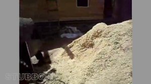 Строительство тамбура каркасной конструкции.