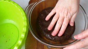 ЦЗ ХЛЕБ С СОЛОДОМ на СЫВОРОТКЕ. Солод ржаной ферментированный