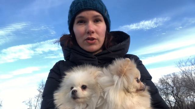 Сезон КЛЕЩЕЙ смотреть онлайн