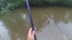 Барлак теперь как ручей.  Поймал рыбу из детства