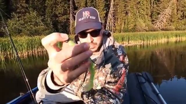 Сходы с Джиг головки?! Эксперимент с крючком