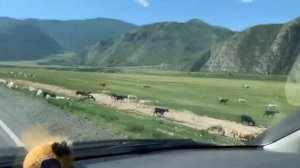 Тысяча лет до нашей эры - путешествие в прошлое!