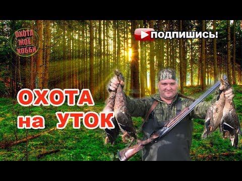 #ОХОТА: На утку в лесных болотах. 2017г смотреть онлайн