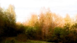 Коллапс пчел, основные причины гибели пчелиных семей. Осенний слёт пчелосемей.