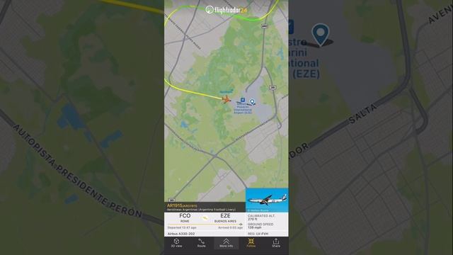 Aerolíneas Argentinas (Argentina Football Livery) Airbus A330-200 [LV-FVH] landing in EZE Airport