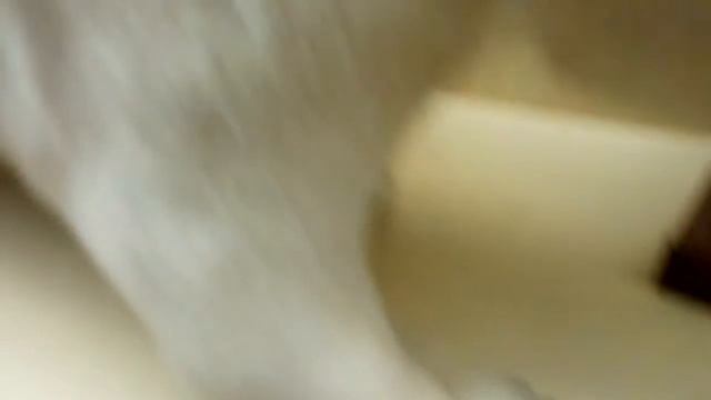 Природоведческий музей Киев. Обитатели моря. Зал насекомых. Животный мир начало.