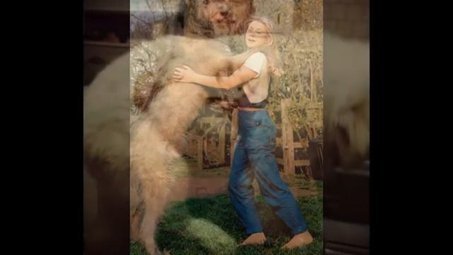 ТОП 20 САМЫХ БОЛЬШИХ СОБАК В МИРЕ!! смотреть онлайн