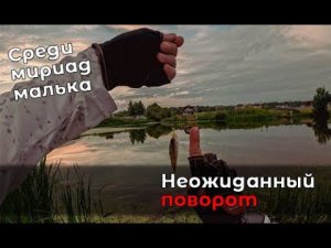 Смена планов и неожиданный мормышинг с Maximus Pointer X Travel Jig 21UL