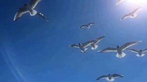 Сердце любви- Worship | песня + инструментал с цитатами из Библии | #пропитка #музыкапоклонения