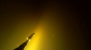 подводная охота открытие сезона 2023 р. Нева