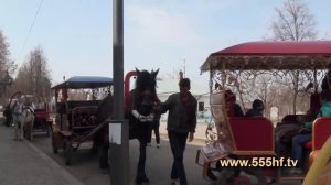 По святым местам Суздаля.