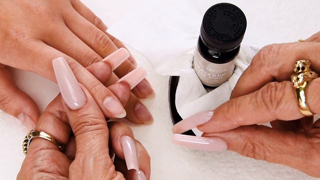 Tammy Taylor | HEMA-Free Gel System смотреть онлайн