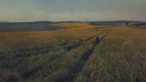 Я надену платье из белого света | Veraslava |