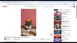 РЖАЧНАЯ ПОДБОРКА ВИДЕО КОТИНЕТ! Смешно до СЛЁЗ!