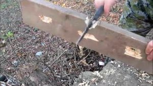 Delta (Kizlyar Supreme)