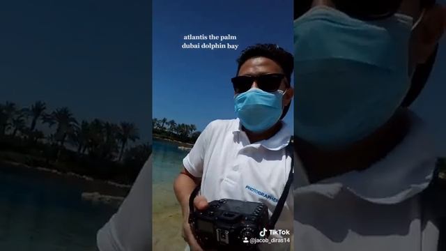 Vlog#2 Antlantis dolphin bay the palm dubai