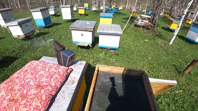 Вывод ранних маток. Матководство 2020 смотреть онлайн