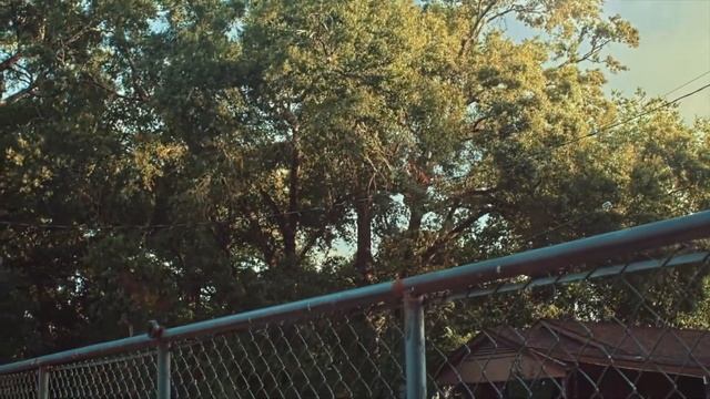 Canon EOS M 1080HD | RAW Video 14bit | Vintage Lut смотреть онлайн